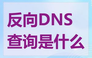 反向DNS查询是什么