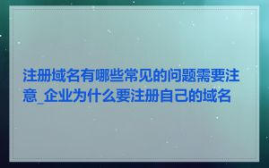 注册域名有哪些常见的问题需要注意_企业为什么要注册自己的域名