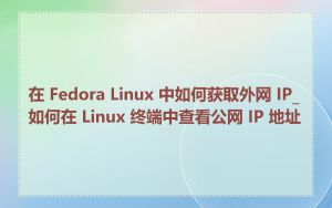 在 Fedora Linux 中如何获取外网 IP_如何在 Linux 终端中查看公网 IP 地址