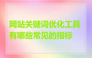 网站关键词优化工具有哪些常见的指标