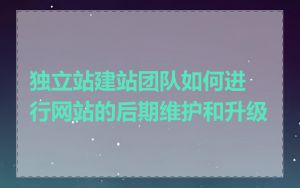 独立站建站团队如何进行网站的后期维护和升级