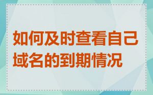 如何及时查看自己域名的到期情况