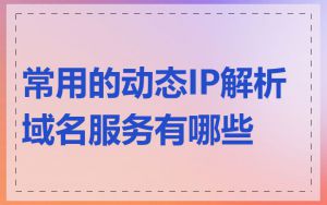 常用的动态IP解析域名服务有哪些