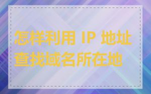 怎样利用 IP 地址查找域名所在地