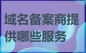 域名备案商提供哪些服务
