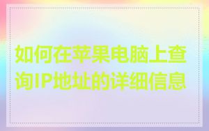 如何在苹果电脑上查询IP地址的详细信息