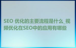 SEO 优化的主要流程是什么_视频优化在SEO中的应用有哪些