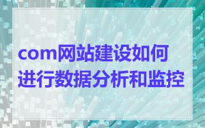 com网站建设如何进行数据分析和监控