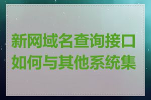 新网域名查询接口如何与其他系统集成
