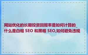 网站优化的长期投资回报率是如何计算的_什么是白帽 SEO 和黑帽 SEO,如何避免违规