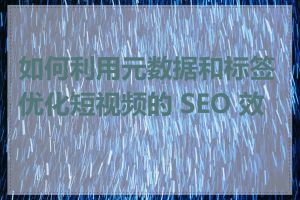 如何利用元数据和标签优化短视频的 SEO 效果