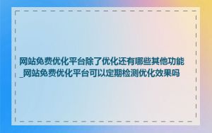 网站免费优化平台除了优化还有哪些其他功能_网站免费优化平台可以定期检测优化效果吗