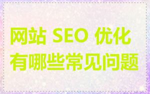 网站 SEO 优化有哪些常见问题
