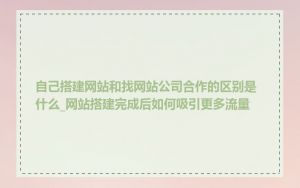 自己搭建网站和找网站公司合作的区别是什么_网站搭建完成后如何吸引更多流量