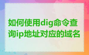 如何使用dig命令查询ip地址对应的域名