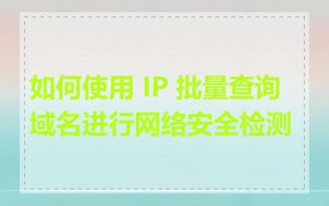 如何使用 IP 批量查询域名进行网络安全检测