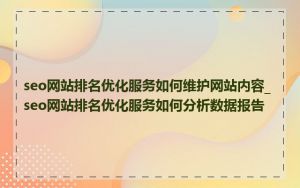 seo网站排名优化服务如何维护网站内容_seo网站排名优化服务如何分析数据报告