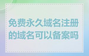 免费永久域名注册的域名可以备案吗