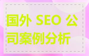 国外 SEO 公司案例分析