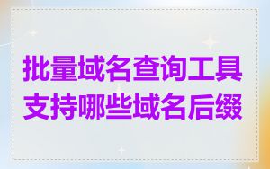 批量域名查询工具支持哪些域名后缀