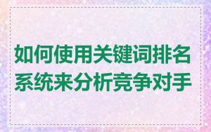 如何使用关键词排名系统来分析竞争对手