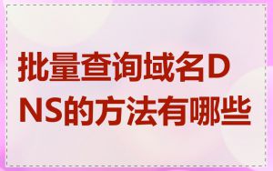 批量查询域名DNS的方法有哪些