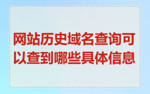 网站历史域名查询可以查到哪些具体信息