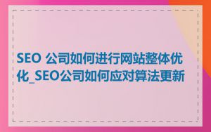 SEO 公司如何进行网站整体优化_SEO公司如何应对算法更新