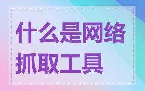 什么是网络抓取工具