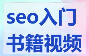 seo入门书籍视频