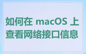 如何在 macOS 上查看网络接口信息