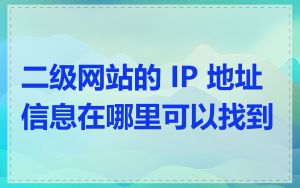 二级网站的 IP 地址信息在哪里可以找到