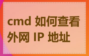 cmd 如何查看外网 IP 地址