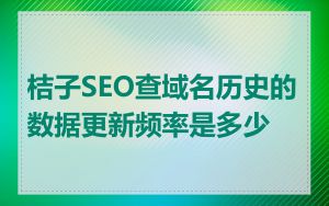 桔子SEO查域名历史的数据更新频率是多少
