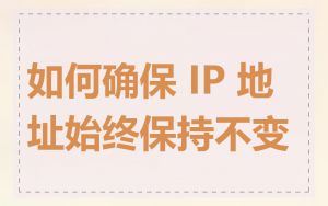 如何确保 IP 地址始终保持不变