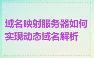 域名映射服务器如何实现动态域名解析