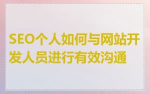 SEO个人如何与网站开发人员进行有效沟通