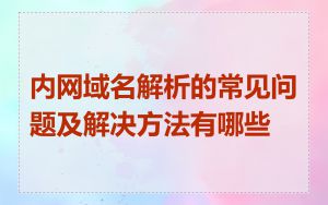 内网域名解析的常见问题及解决方法有哪些