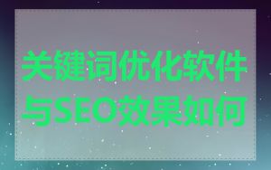 关键词优化软件与SEO效果如何