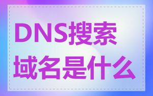 DNS搜索域名是什么