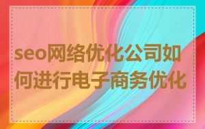 seo网络优化公司如何进行电子商务优化