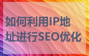 如何利用IP地址进行SEO优化