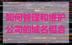 如何管理和维护公司的域名组合
