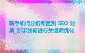 新手如何分析和监测 SEO 效果_新手如何进行关键词优化