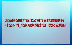 北京网站推广优化公司与其他城市的有什么不同_北京哪家网站推广优化公司好