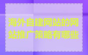 海外自建网站的网站推广策略有哪些