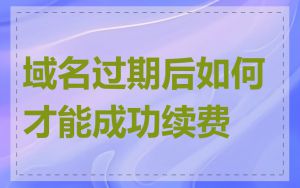 域名过期后如何才能成功续费