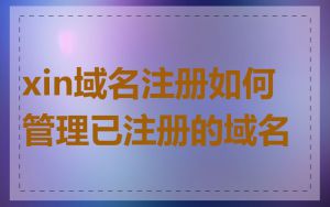 xin域名注册如何管理已注册的域名