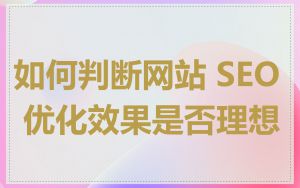 如何判断网站 SEO 优化效果是否理想