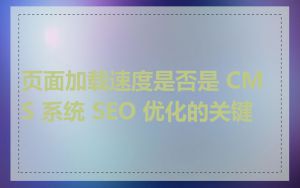 页面加载速度是否是 CMS 系统 SEO 优化的关键